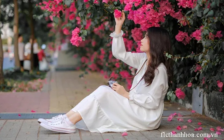 bức ảnh rất đẹp bên cây hoa