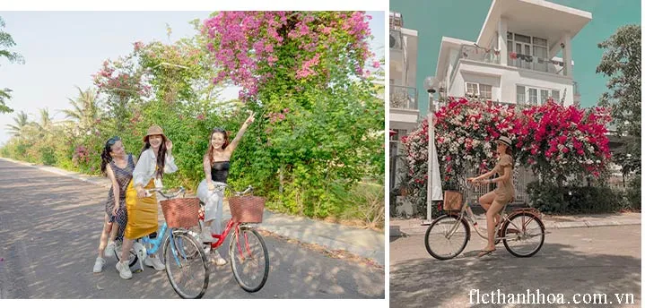 chụp ảnh cùng xe đạp cũng rất đẹp