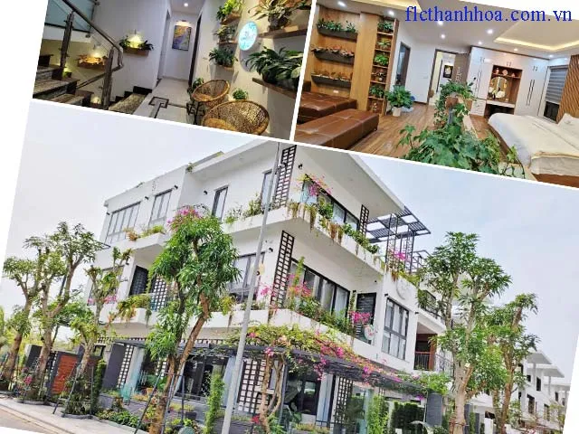 rất nhiều cây xanh trong biệt thự lá