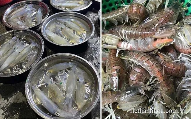 Hải sản Sầm Sơn luôn tươi ngon