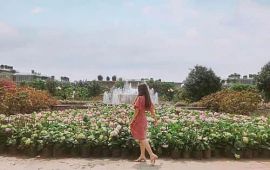 Bắn pháo hoa và lễ hội du lịch Sầm Sơn 2021
