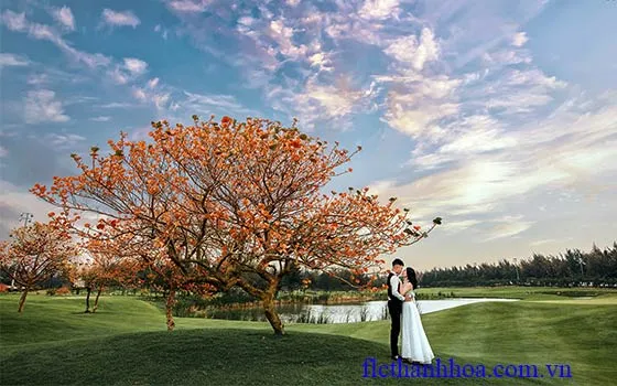 Chụp ảnh tại sân golf Flc Sầm Sơn